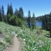 Trail to Richardson Lake