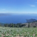 Tahoe Vista from TRT