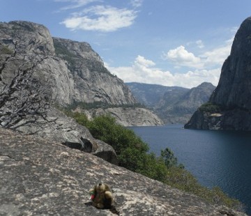 Hetch Hetchy Day Hike or as we like to call it Hetch Hedgehogy: the story of our water source and a brave hedgehog