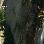 Illilouette Falls, Yosemite National Park, CA