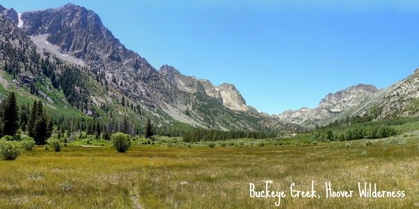 Backpacking Buckeye Creek, Hoover Wilderness