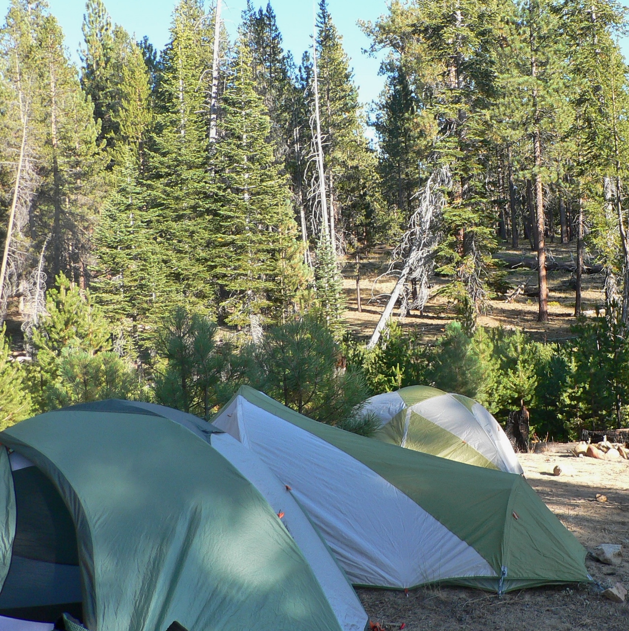 Tents in Yosemite