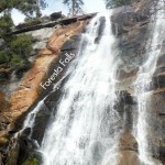 Foresta Falls Day Hike