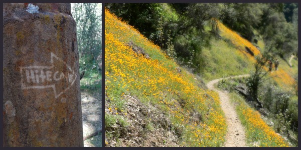 Hite Cove: California Wildflowers with Ruins