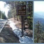 Biking Glacier Point Road, Yosemite