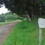 It seems of there is a wilderness sign but we can bike down this trail.