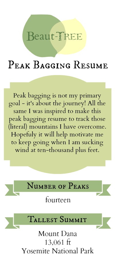 Beaut-tree Peak Bagging Resume