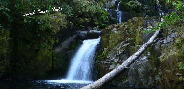 Sweet Creek Falls