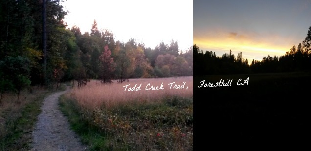 Todd Creek Trail, Foresthill CA