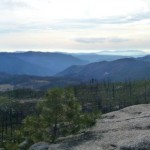 Devil's Dance Floor: Hiking up Fire Scars and Brush Fields