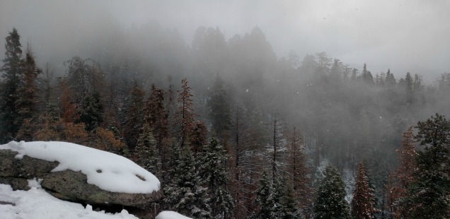Moro Rock Winter 2015, Sequoia National Park
