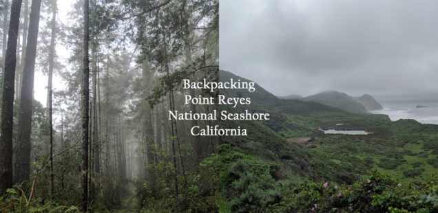 California Backpacking :: Point Reyes National Seashore Lake Ranch and Coast Trail Loop